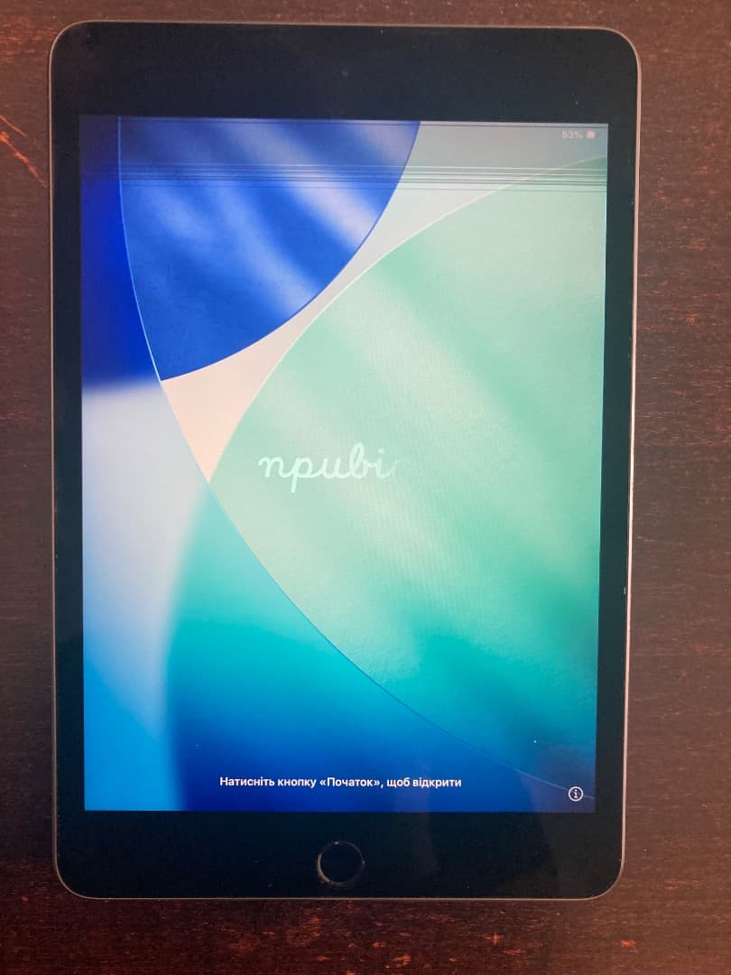 Apple iPad mini 第5世代　スペースグレイ　 ジャンク