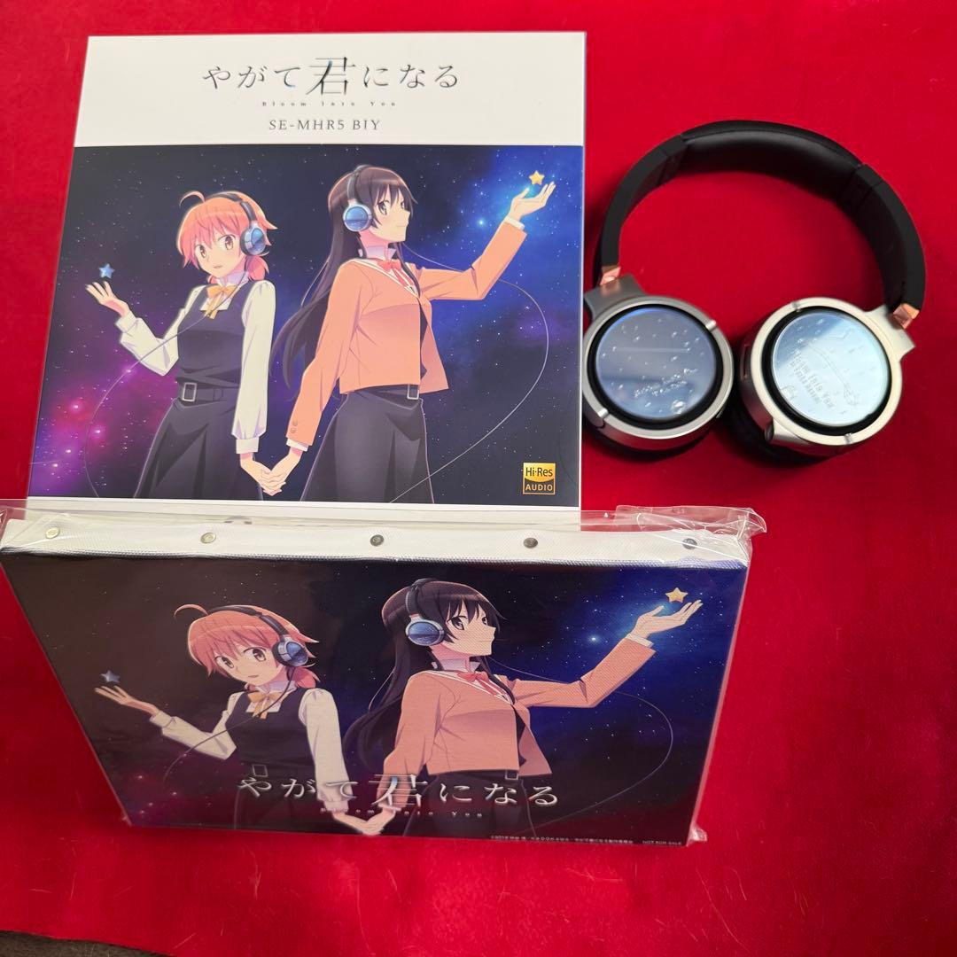 Pioneer ヘッドホン SE-MHR5 BIY やがて君になる キャンバス
