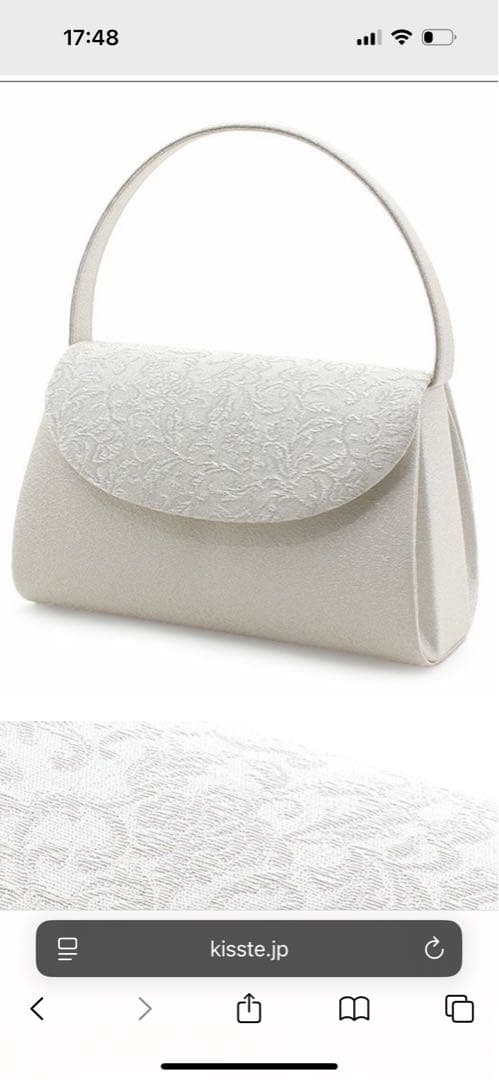 留袖用バック　シルバー