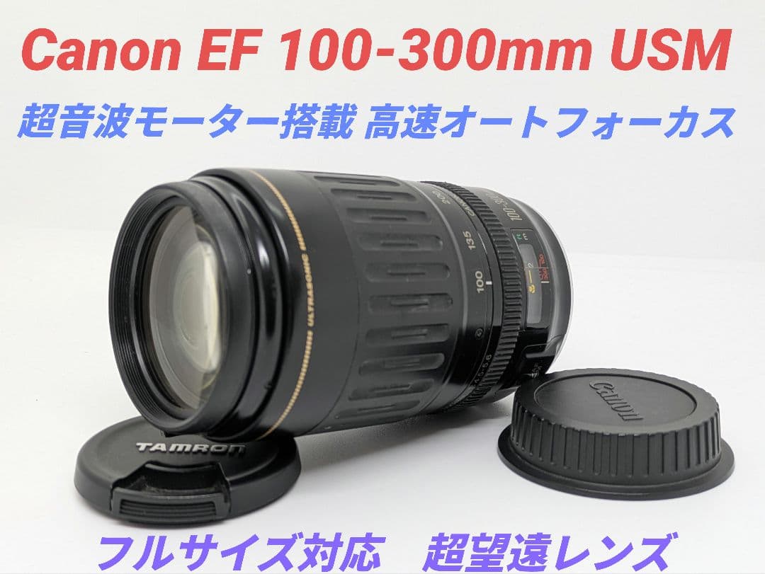1月21日限定価格♪Canon EF 100-300mm USM