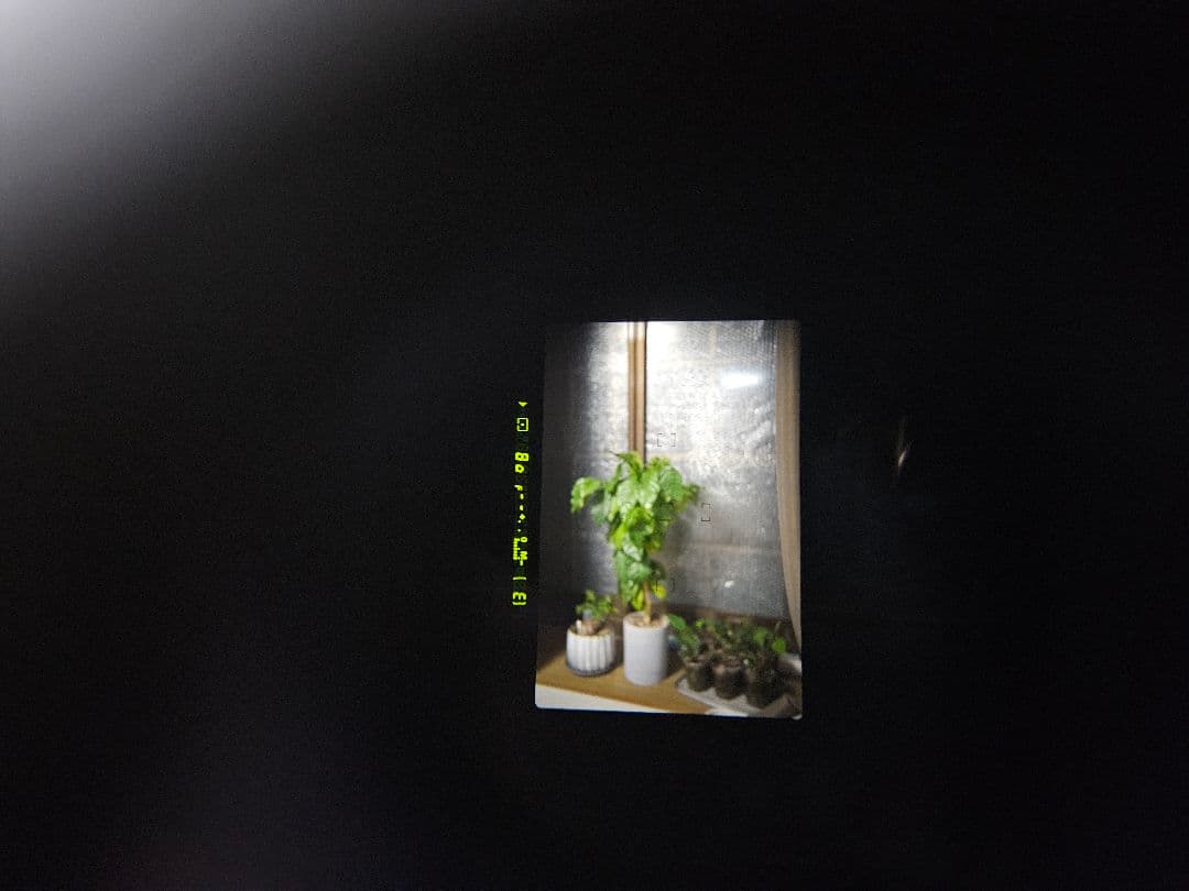 k*様 動作確認済み　Nikon F100 作例あり