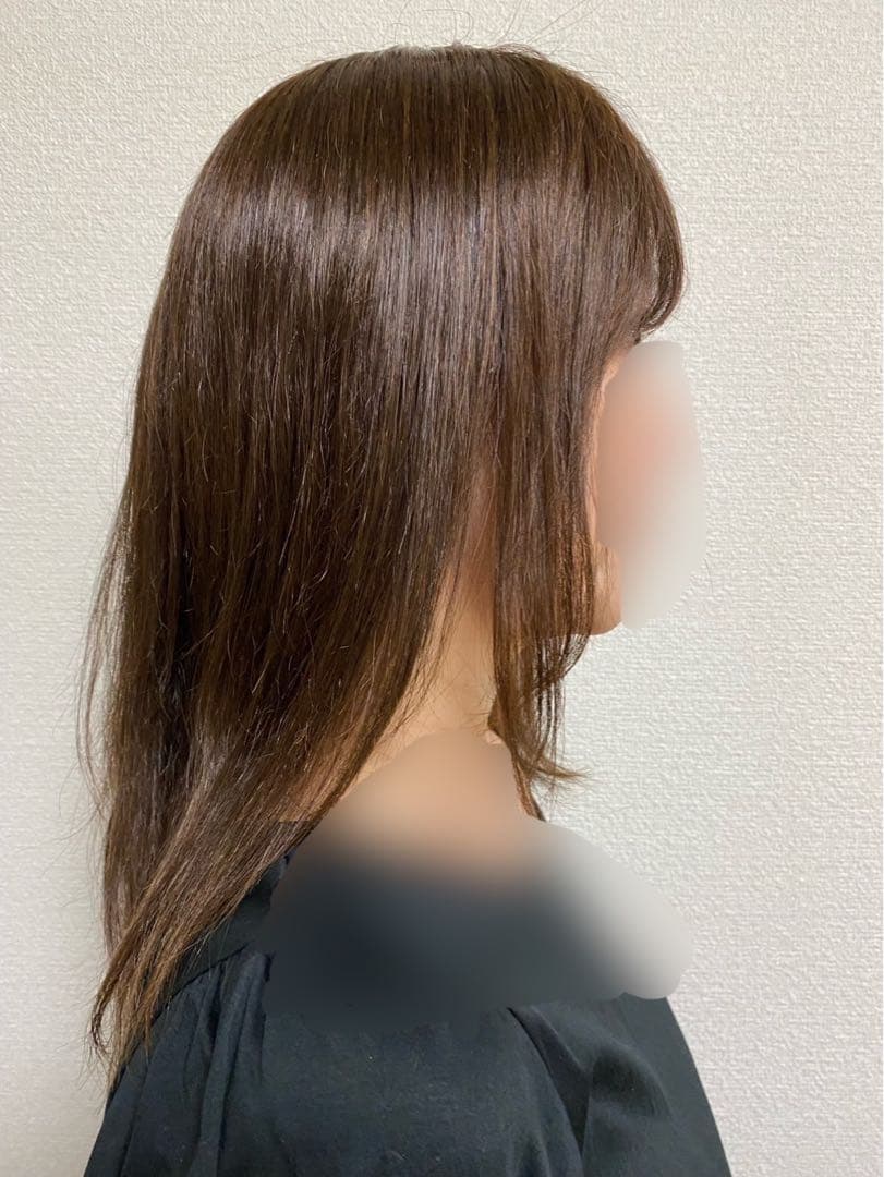 人毛ウィッグ　人毛100%