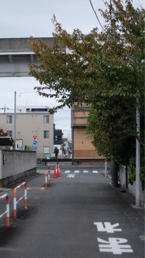 contax planar 50mm f1.4 カールツァイス