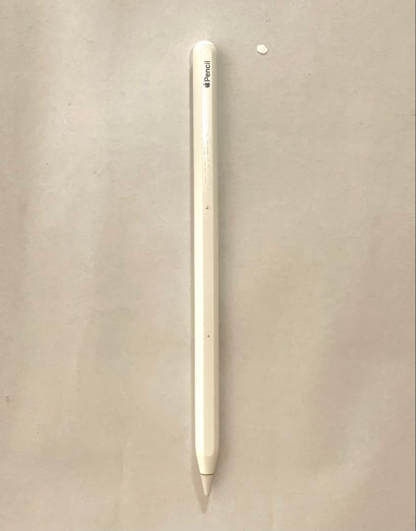 【Elin】Apple iPad pro(第2世代) 11インチ128GB