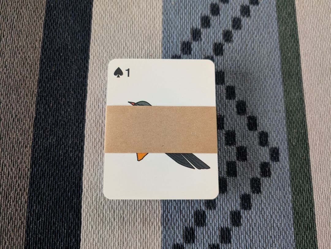 ピグマリオン 第2グレード スタート セット