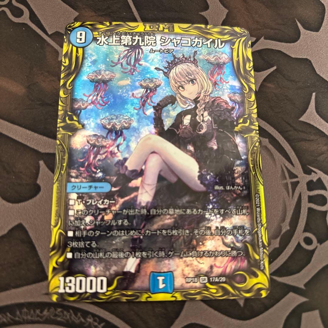 シャコガイル a