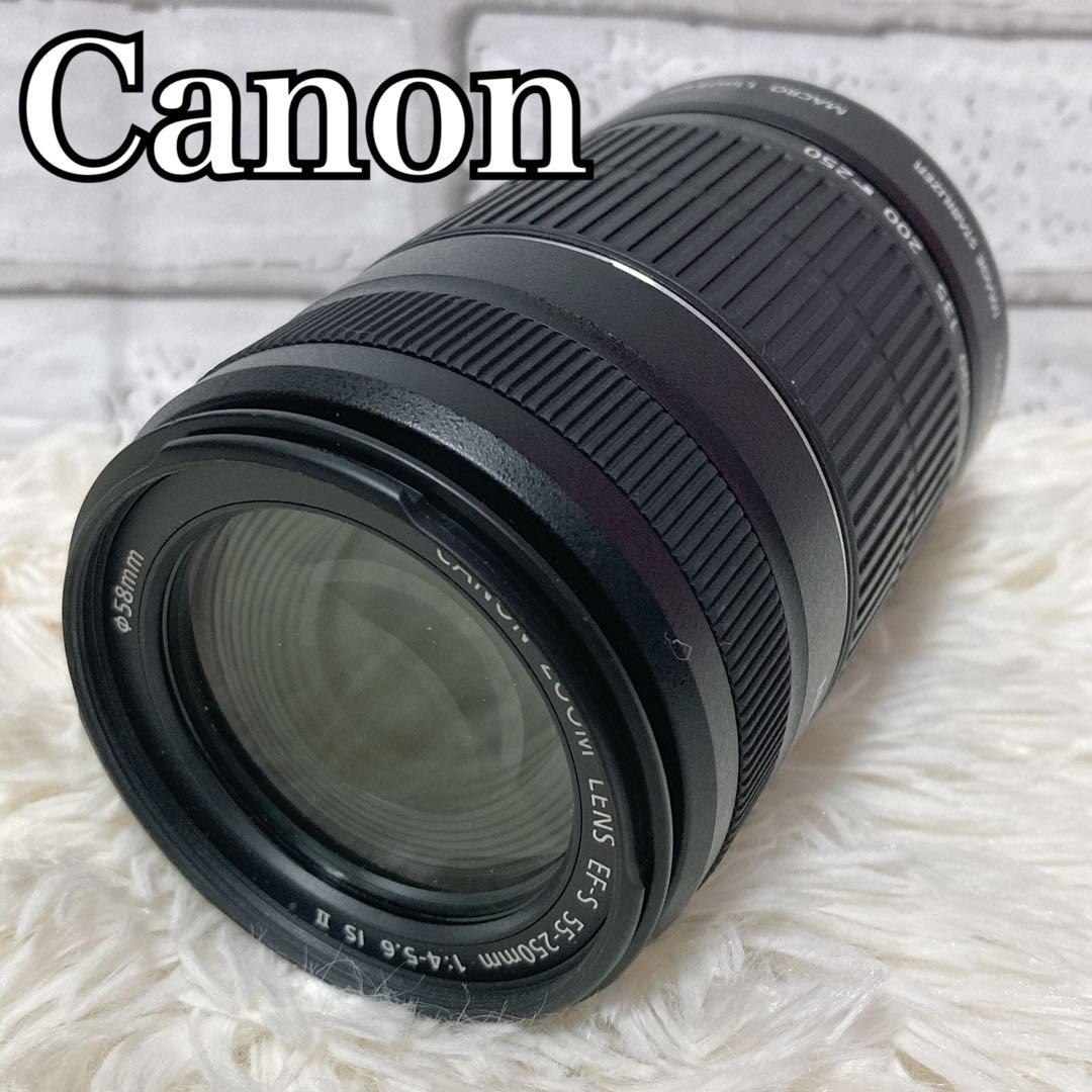 【極美品】 Canon EF-S 55-250mm F4-5.6 ISⅡ レンズ