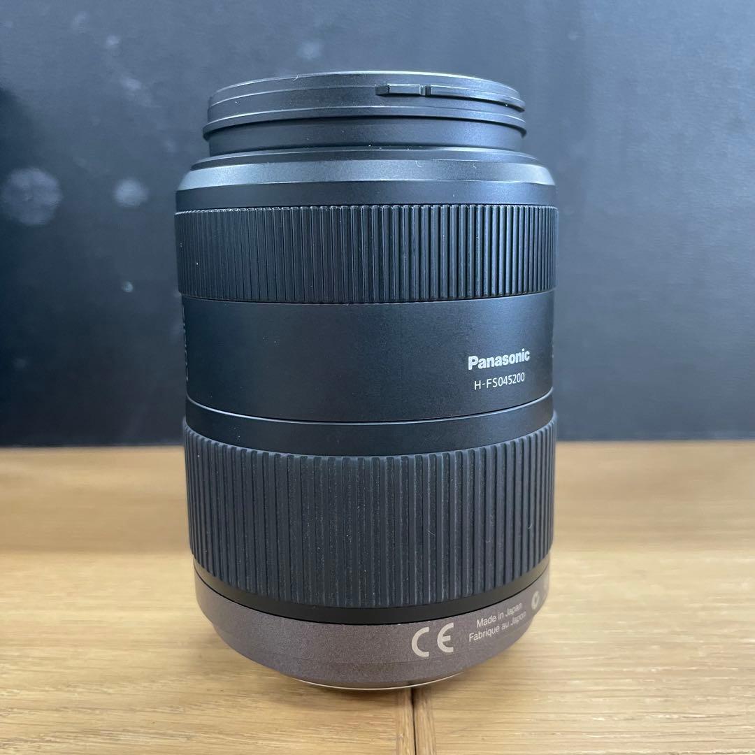 動作品 Lumix G 45-200mm F4-5.6 H-FS045200