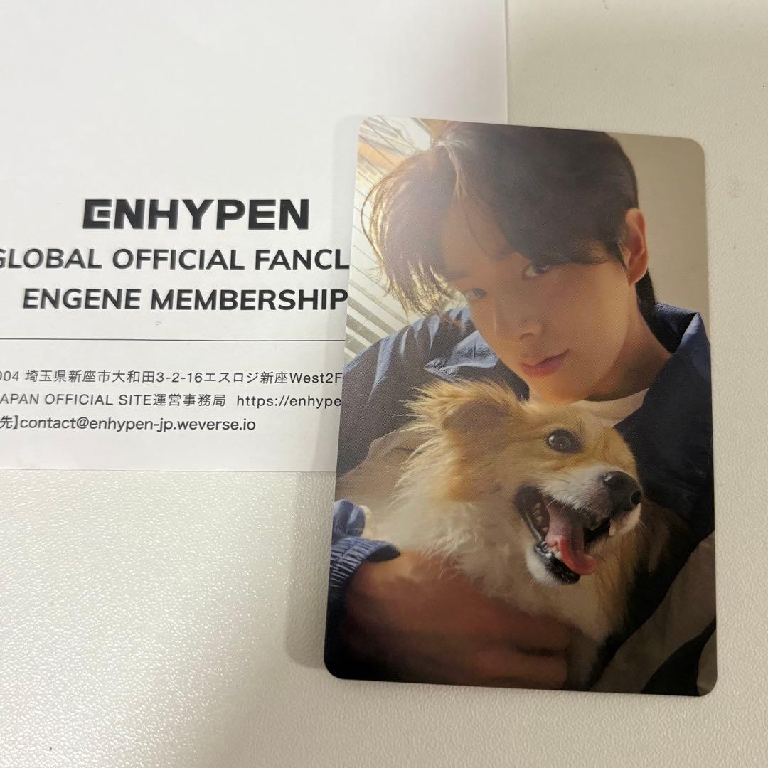 enhypen アンケートトレカ ジェイク トレカ