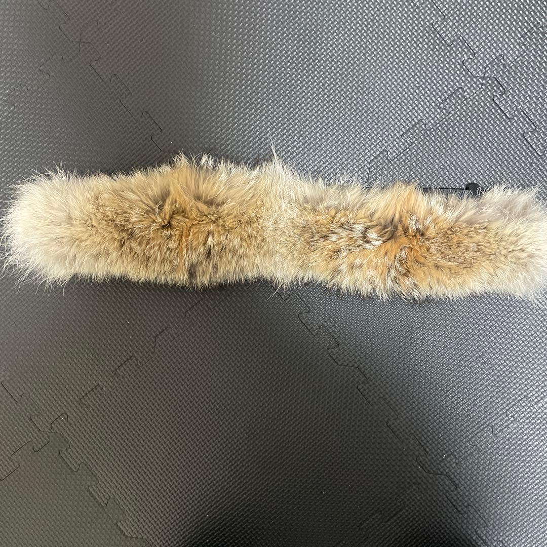 【美品】カナダグース 純正コヨーテファー 交換用 リアルファー ボリューム個体