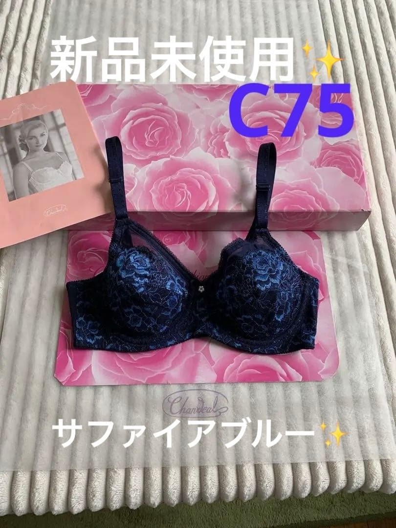 シャンデールサファイアブルーC75ブラジャー新品未使用