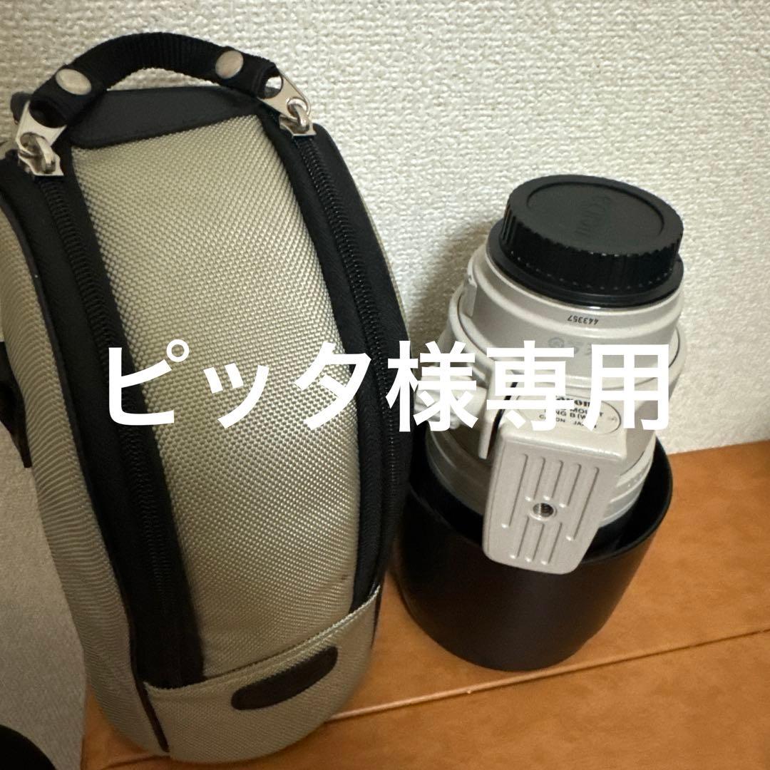 Canon カメラレンズ