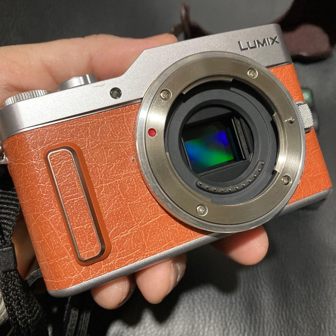 美品　最新LUMIX GF10ボディ&本革ボディケース&予備バッテリー&充電