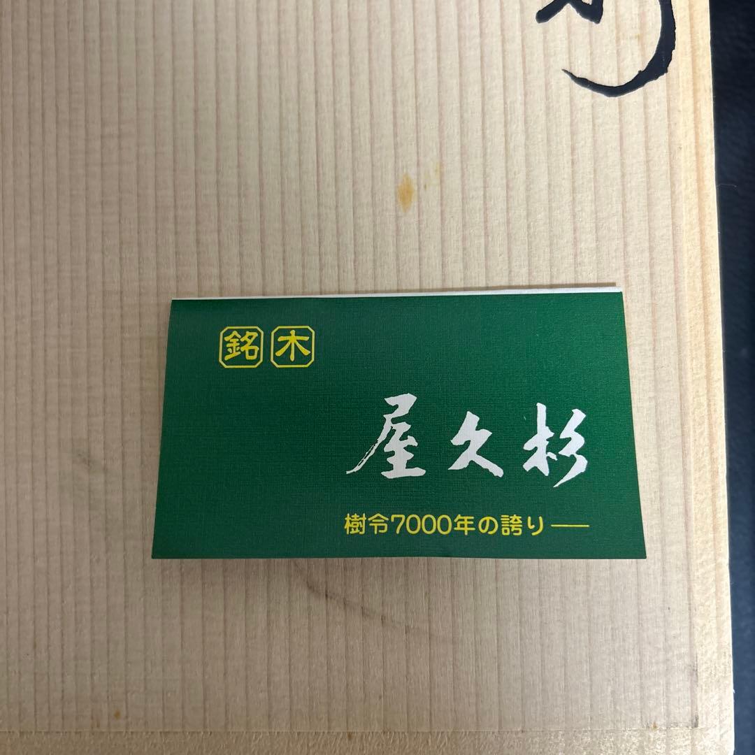 千寿屋久杉　魔除け般若面　谷情雲作