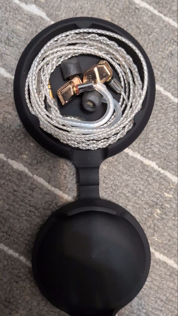 B1 FINAL 有線イヤホン 収納ケース付き