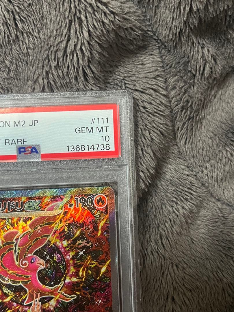 オドリドリ　-ＰＳＡ１０