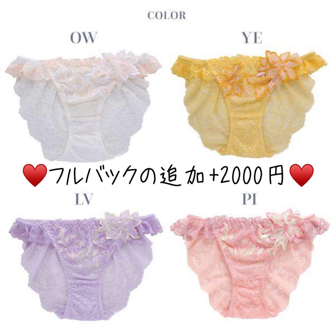 ①リピ割-100★複数割-200★E70、フルバックL♡追加フルバックL2枚✨