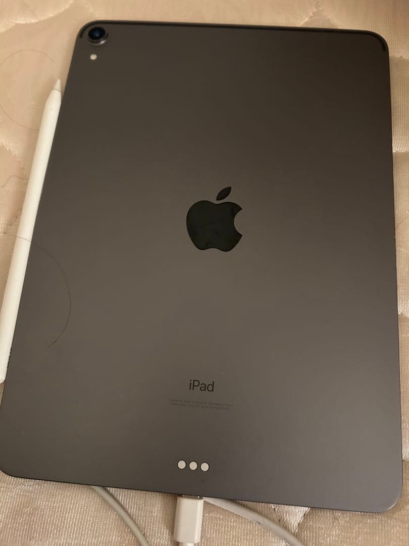 iPad Pro 11 64GB Apple Pencil2 画面微色ズレあり