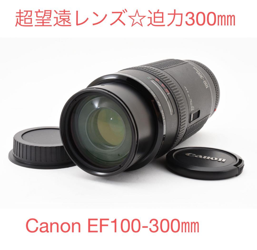 超望遠レンズ☆迫力300㎜☆CANON EF 100-300mm F5.6