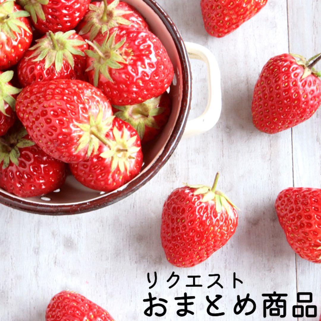 みきぽん様 リクエスト 2点 まとめ商品