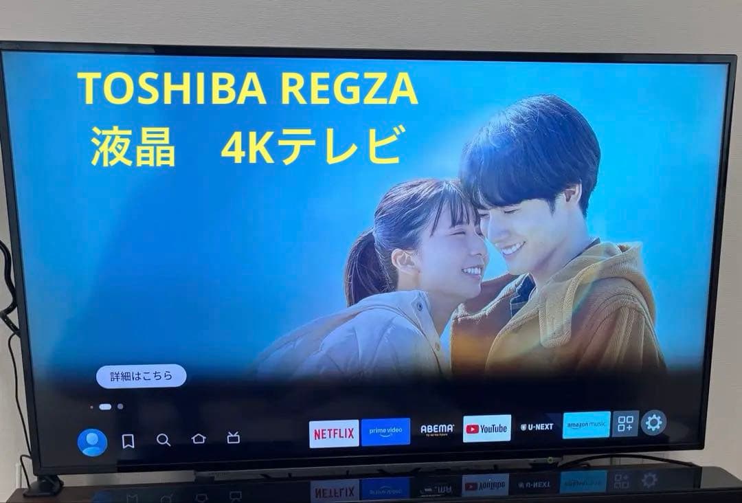 東芝　レグザ　REGZA 4K 49インチ　49型　テレビ　49G20X
