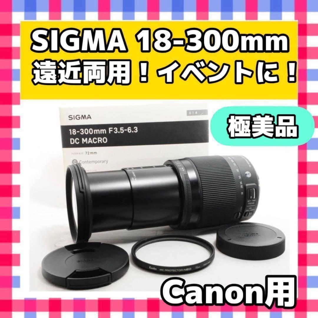 【最大1500円引】SIGMA 18-300mm❤️超美品!レンズ交換不要
