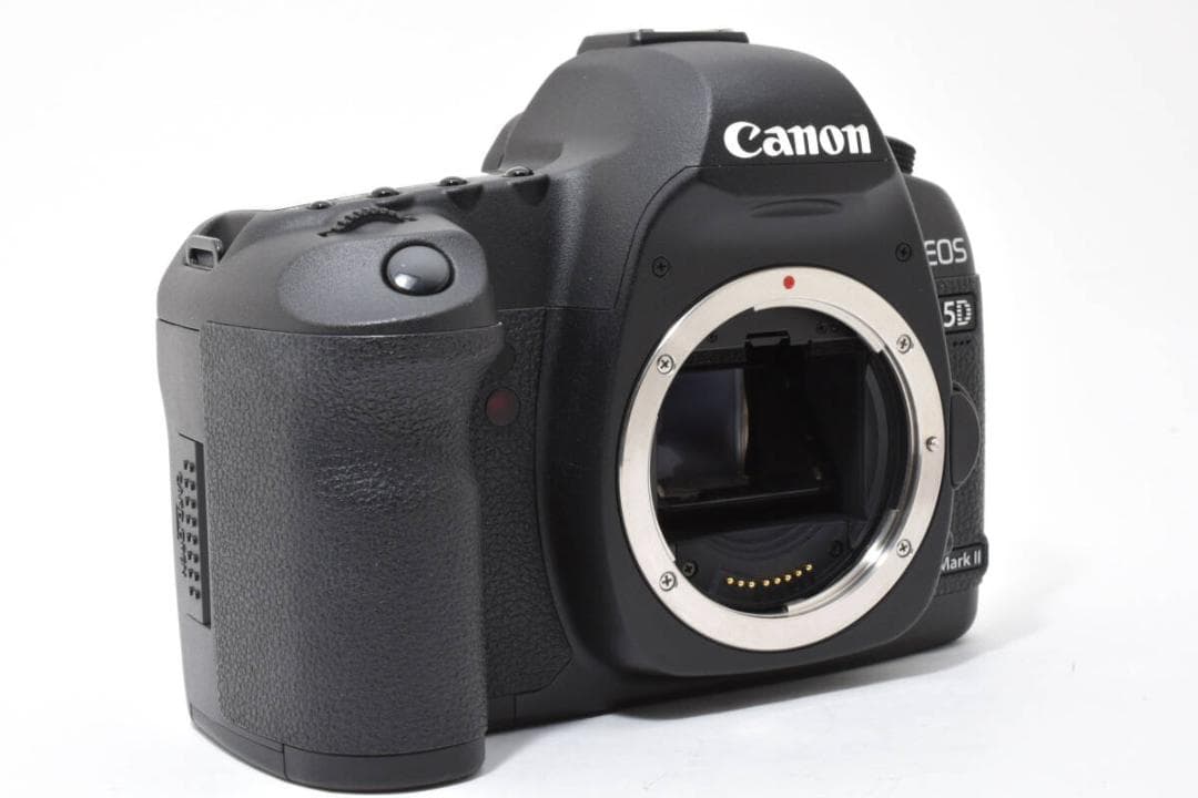 《ショット数4,899回 》 Canon EOS 5D MARK II #785