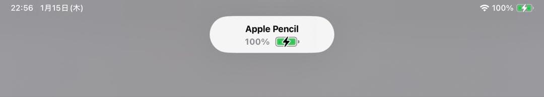 Apple Pencil (第2世代) ＋替え芯セット