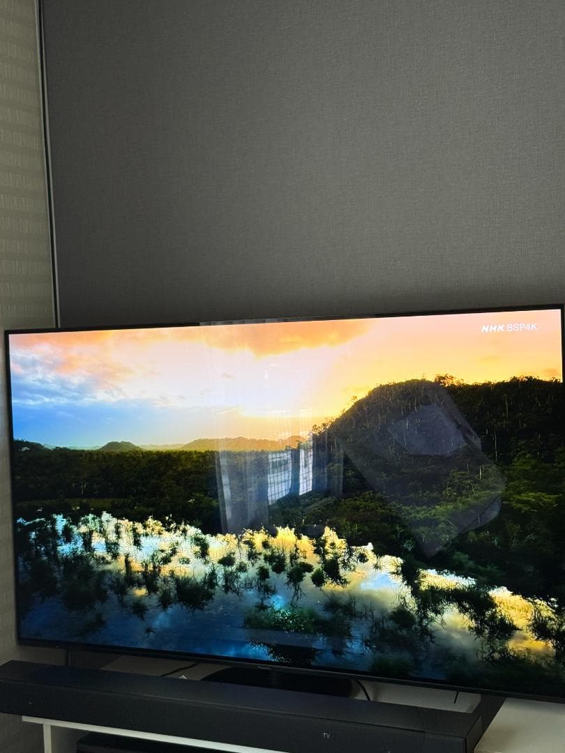 Panasonic TH-65HZ1000 有機ELテレビ 65インチ