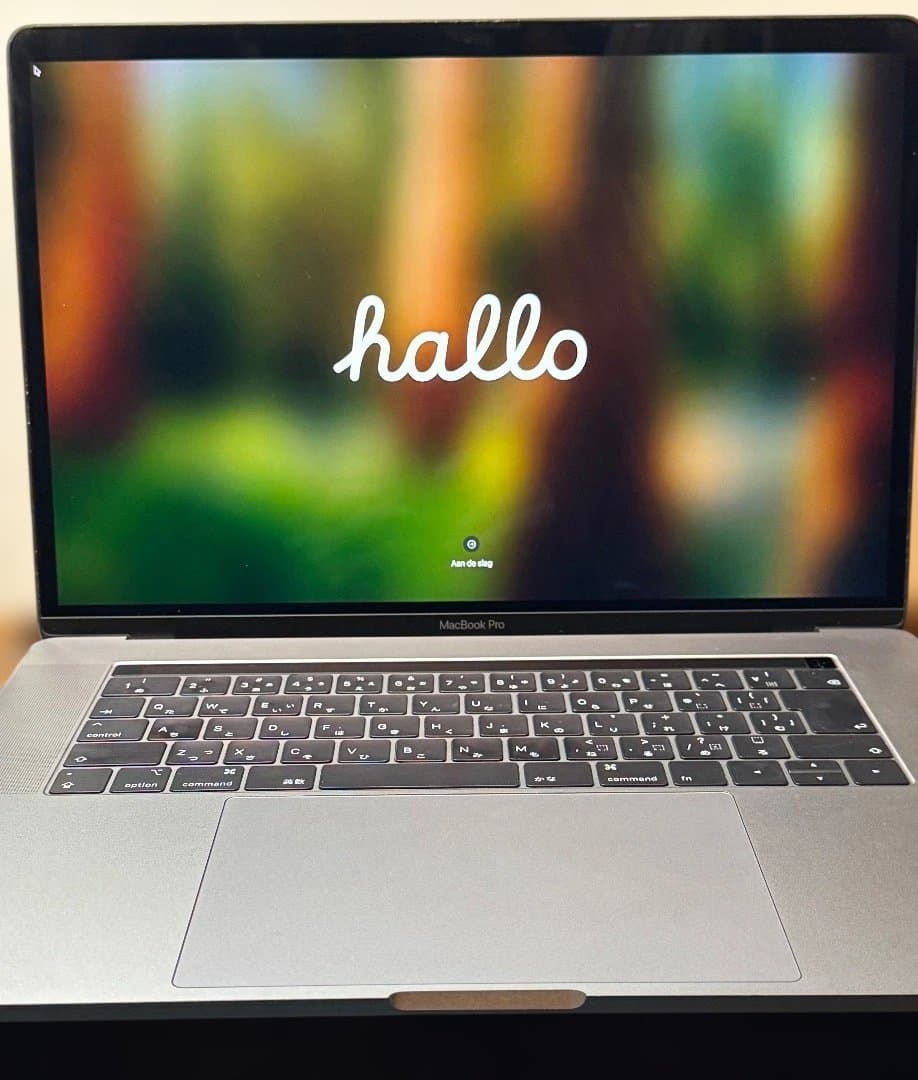 MacBook Pro 2018/Core i9/１TB/32GB/15\