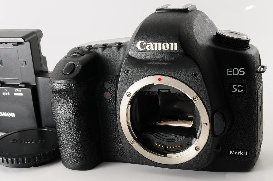【美品】 キャノン Canon EOS 5D Mark II 2 ボディ