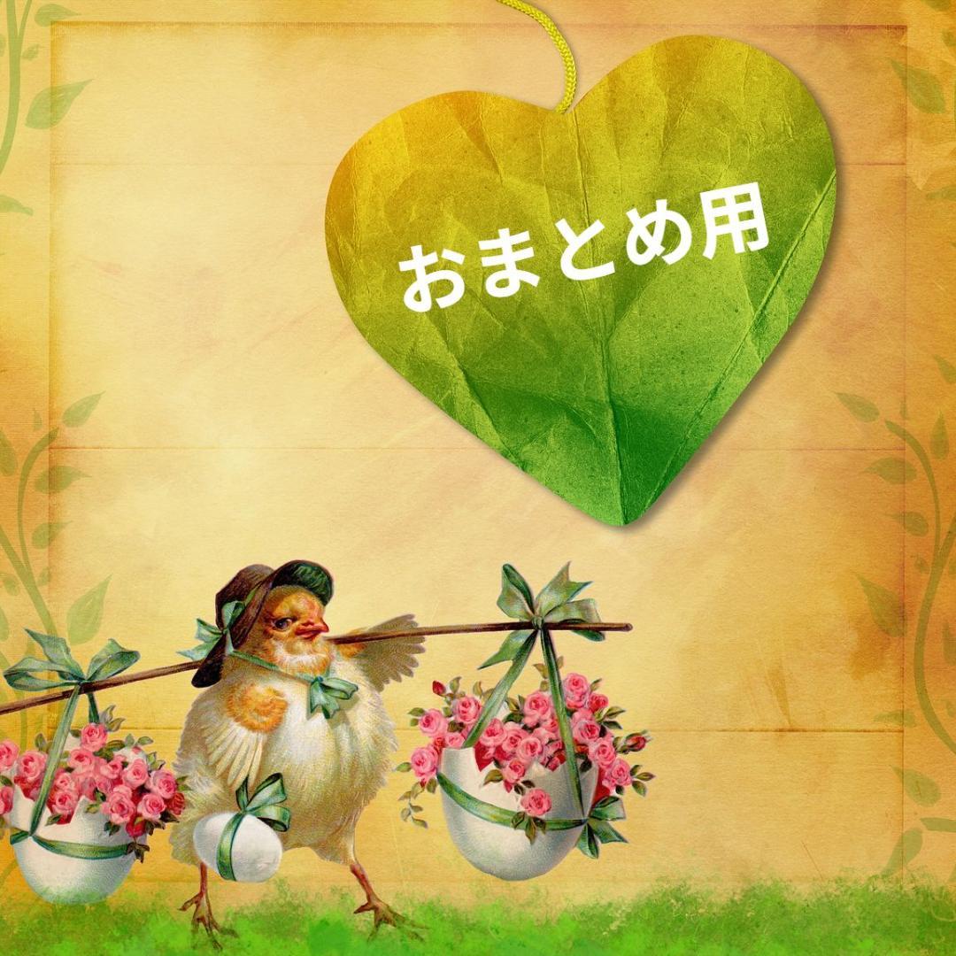 ꕤclara*★おまとめ2点