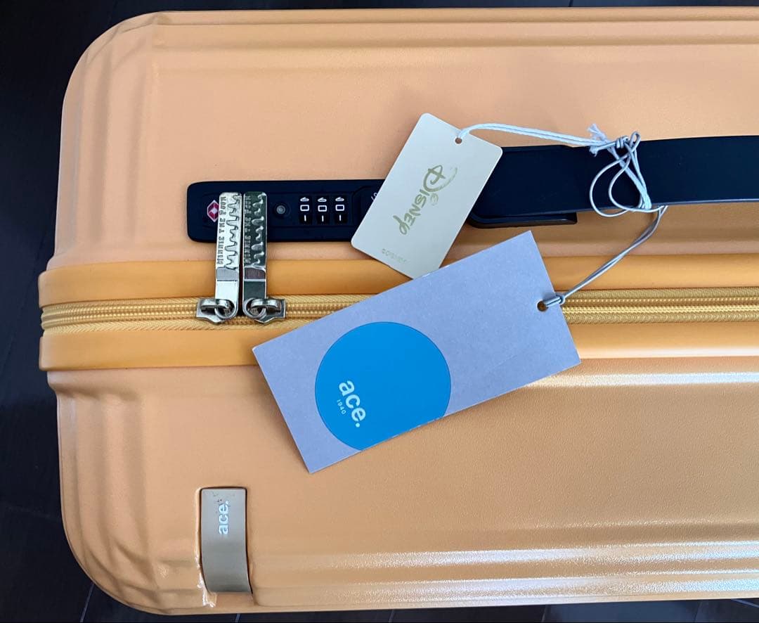 ace製　プーさんスーツケース