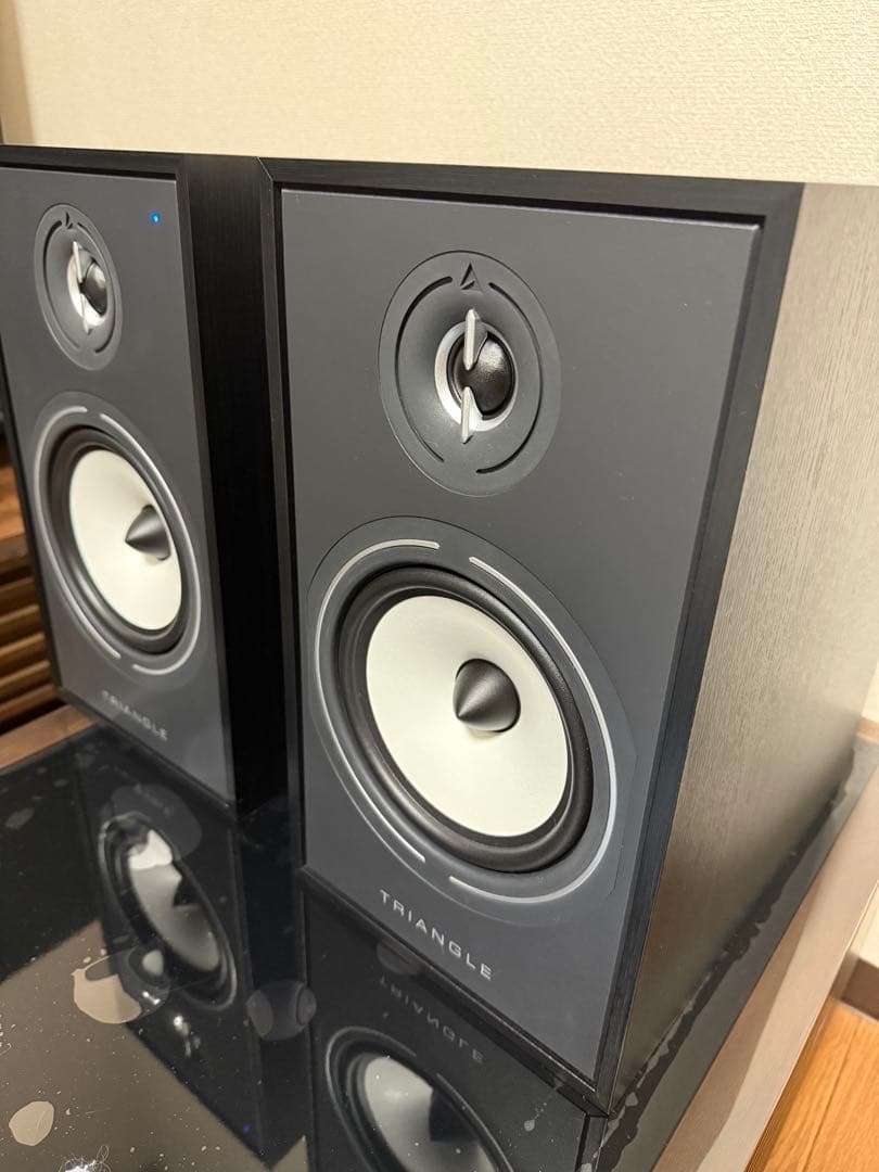 TRIANGLE BOREA 03 CONNECT スピーカー