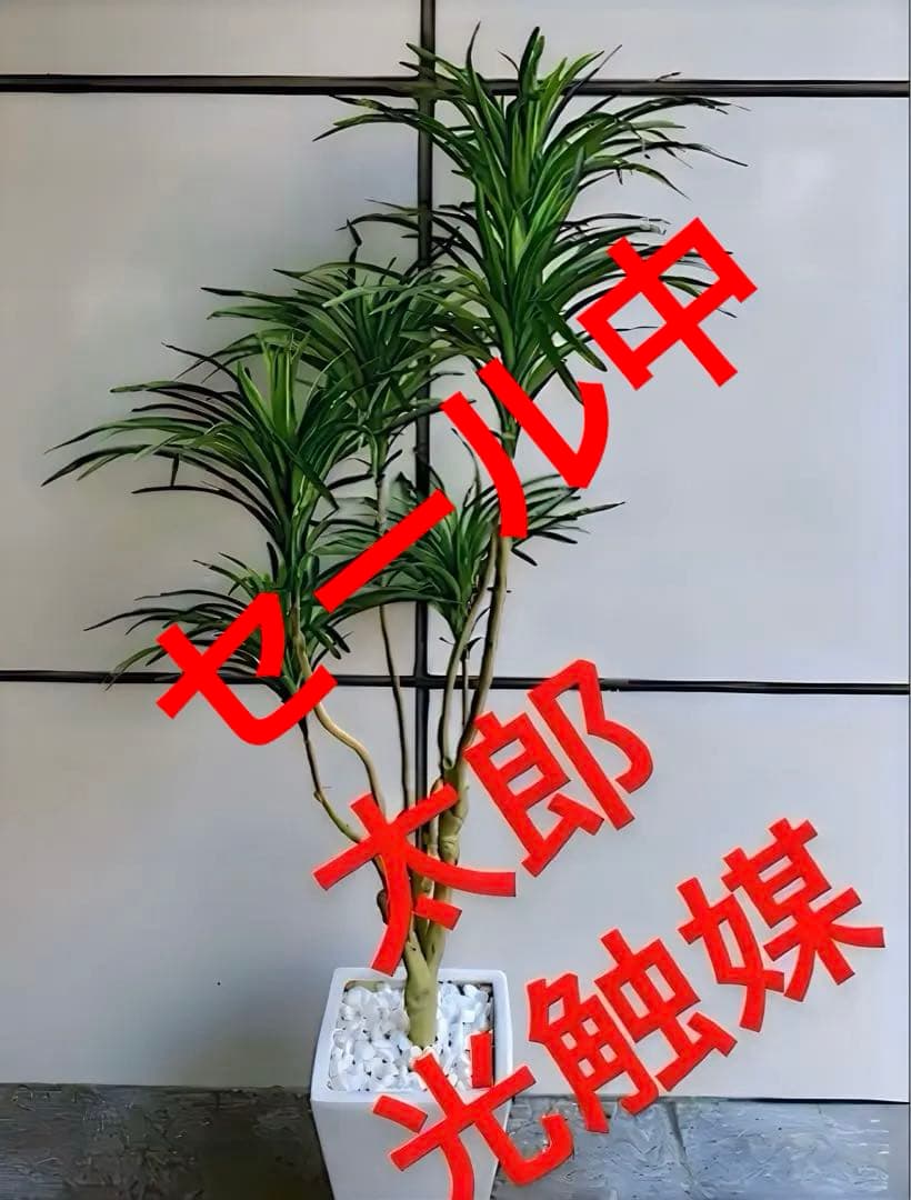 光触媒　人工観葉植物　ウォールグリーン　フェイクグリーン　コンシンネ150a1