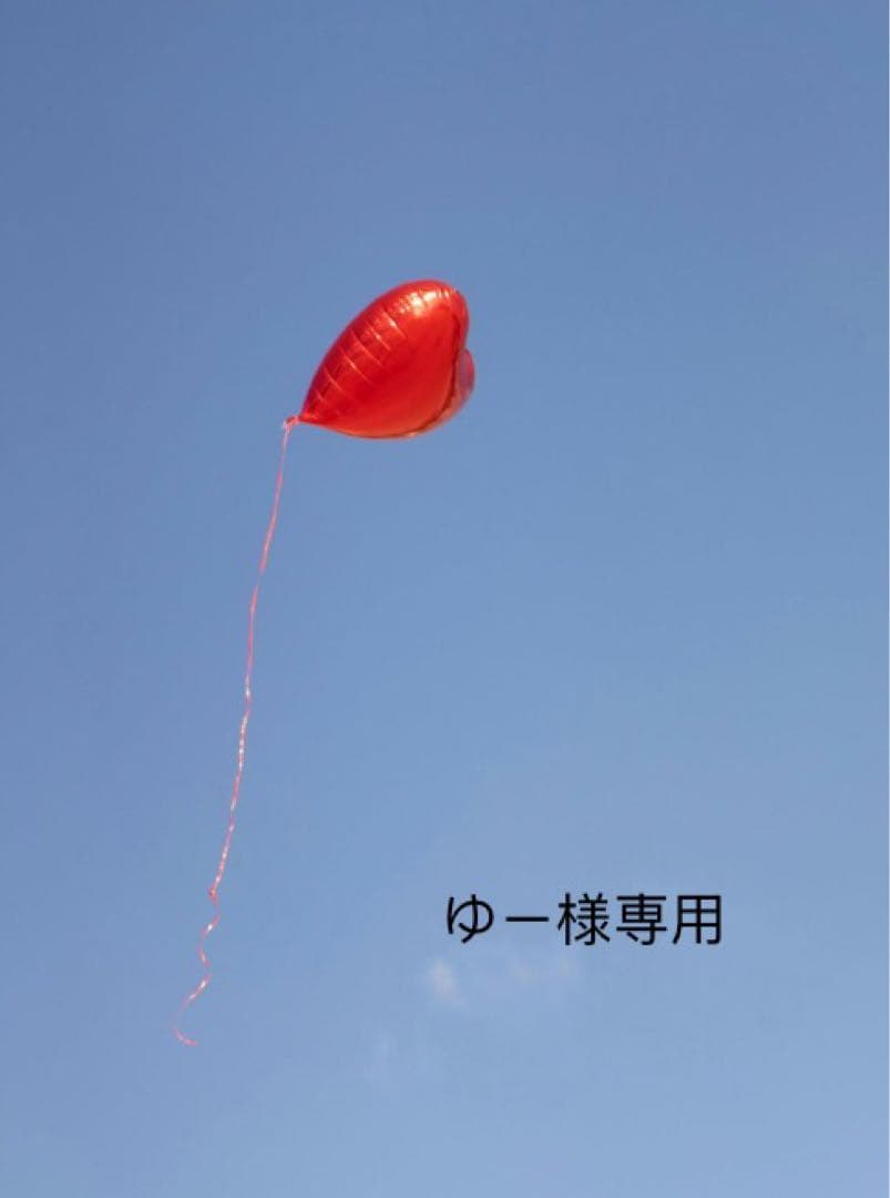 お嬢様 かわいい メイド衣装 ワンピース 可愛いドレス フェチ ロリータ 仮装