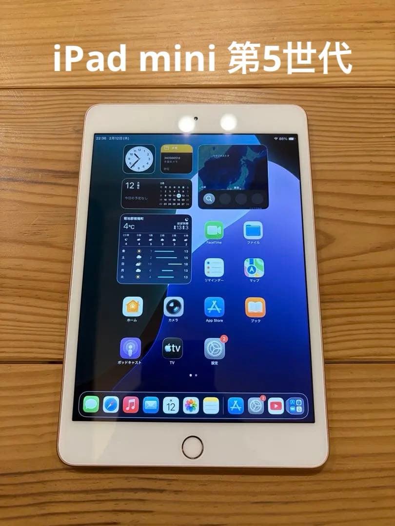 iPad mini 第5世代 64GB Wifi ゴールド