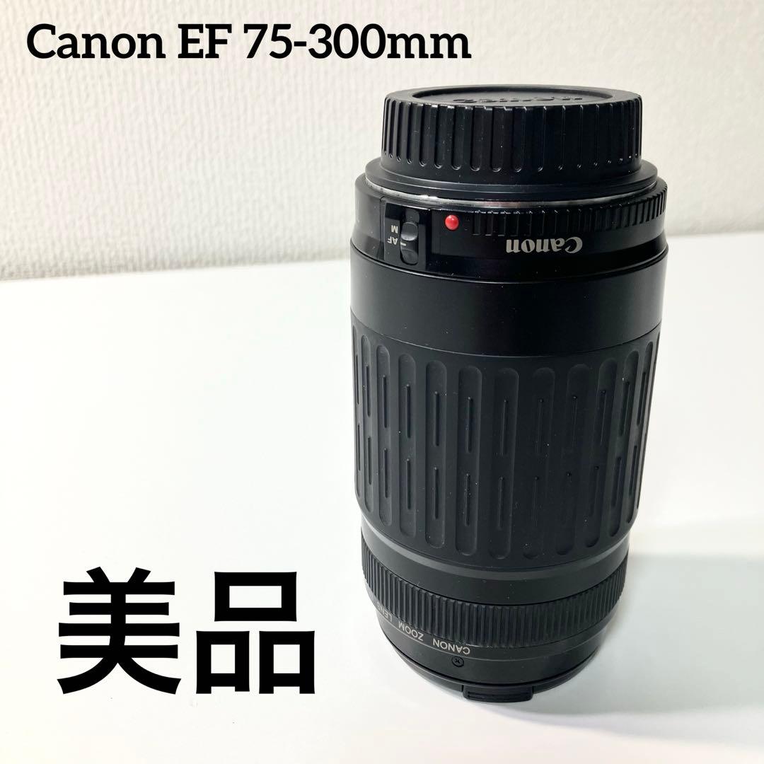 【美品】 Canon EF 75-300mm キャノン 望遠レンズ カメラ