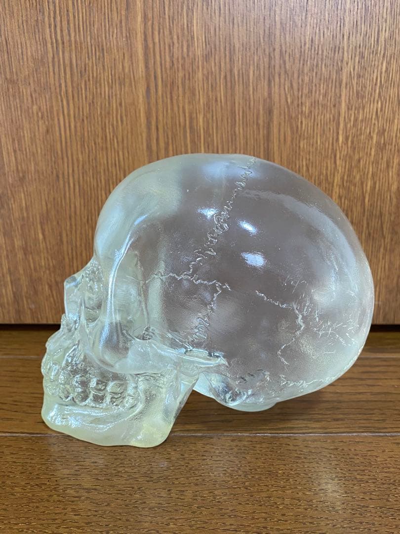 骸骨 スカル 頭蓋骨 ドクロ 髑髏 ガイコツ 置物 インディジョーンズ クリア