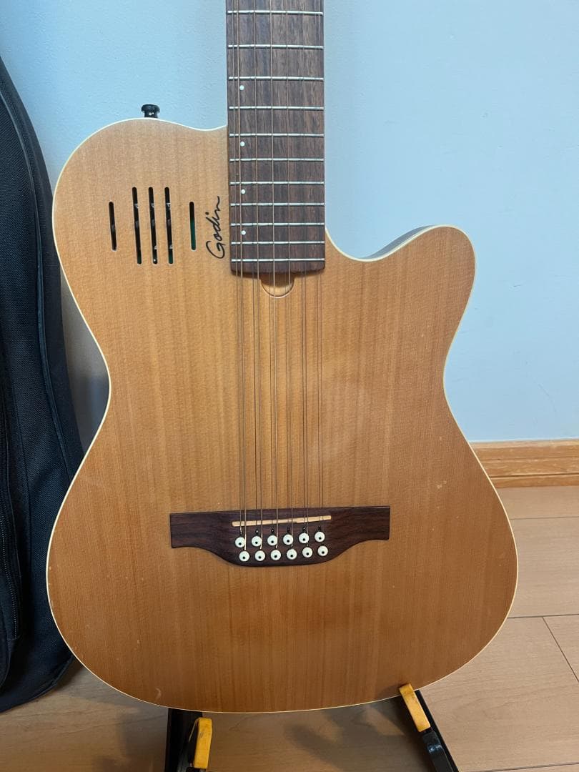 Godin　ゴダン　アコースティックギター　A-１２　１２弦ギター　エレアコ
