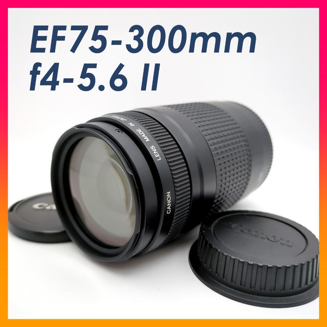 Canon EF 75-300mm f4-5.6 Ⅱ キャノン ズームレンズ
