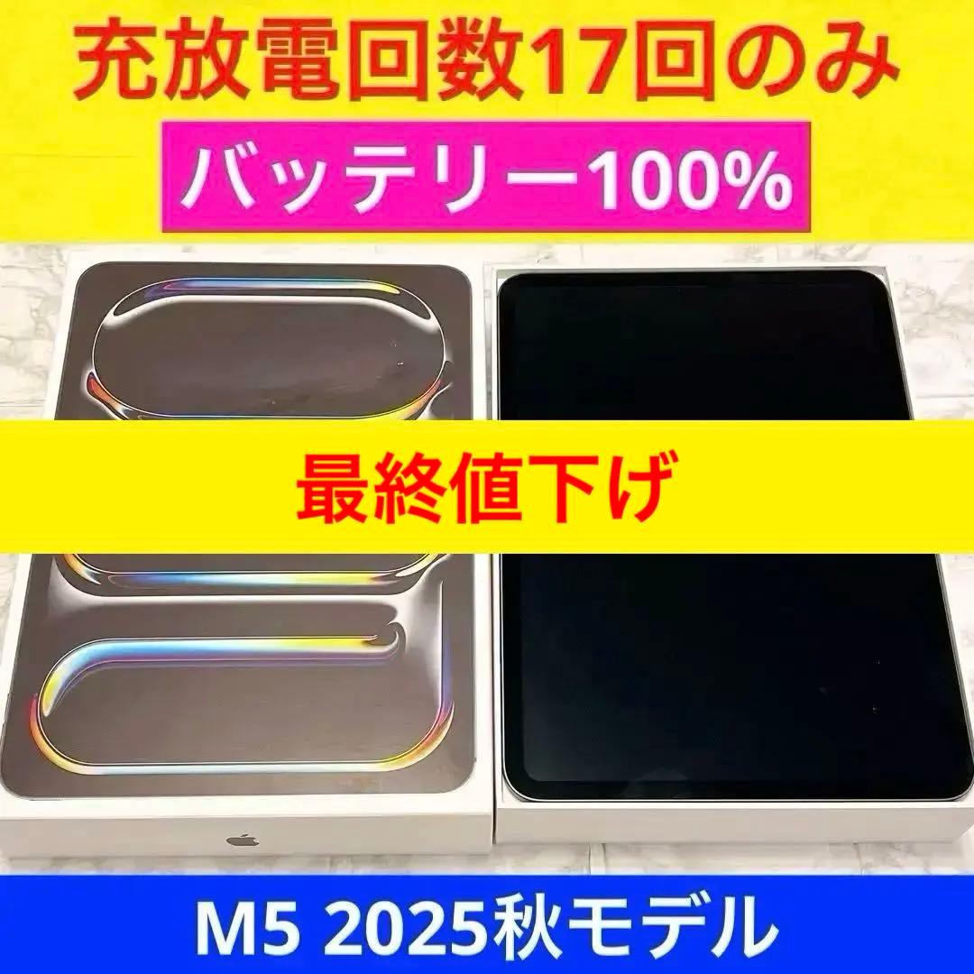 iPad pro M5 11インチ　スペースブラック　256GB Wi-Fi