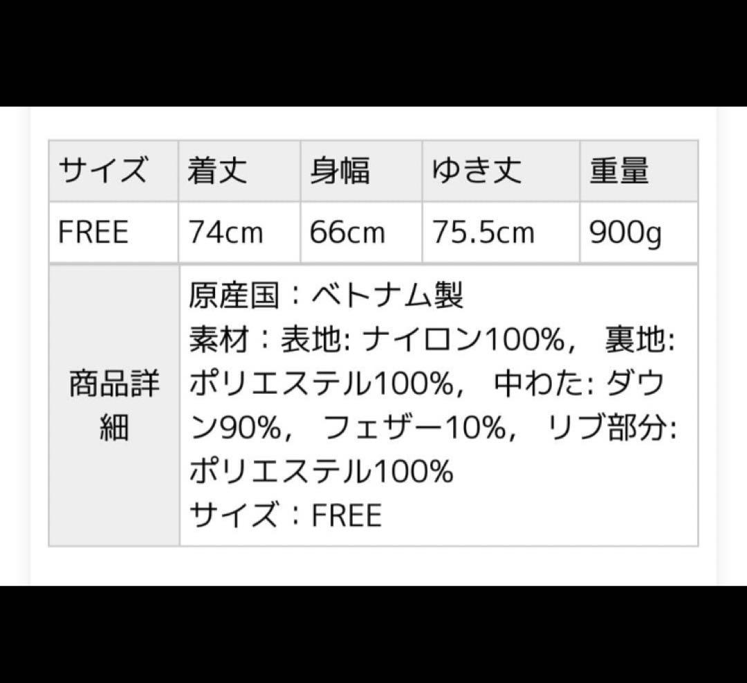 Marmot × RayBEAMS別注ダウン　DIMA DOWN PARKA