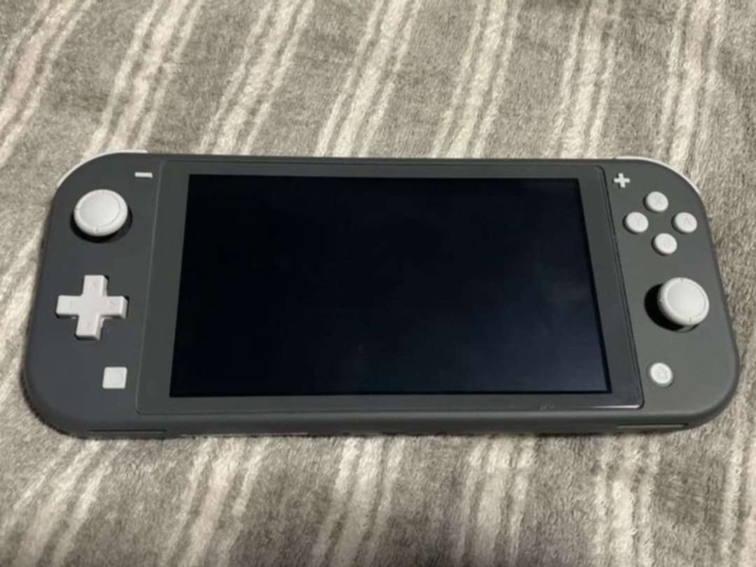 その他 Nintendo Switch NINTENDO SWITCH LITE