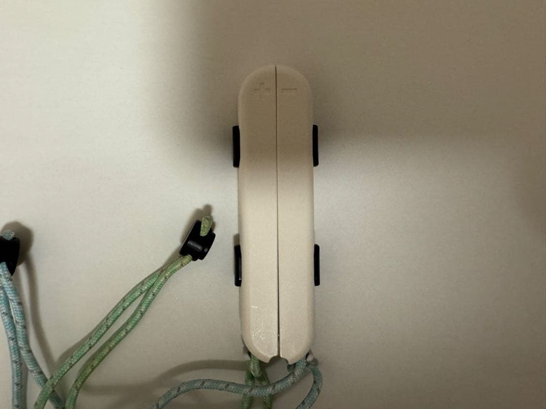 【お買得】NintendoSwitchあつまれどうぶつの森セット+ソフト他