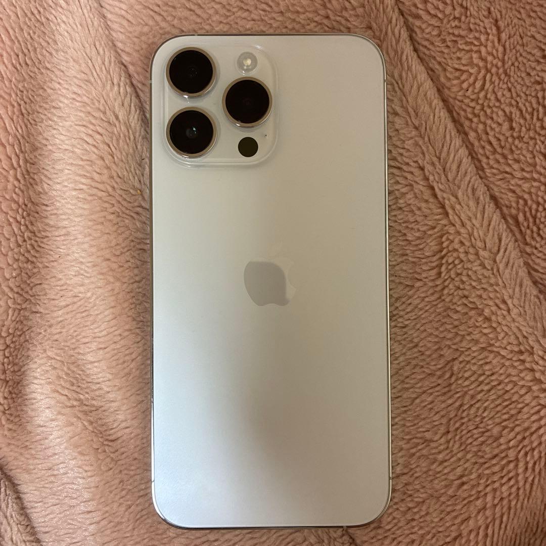 iPhone 14 Pro Max シルバー 1TB (中古品) 箱、充電器なし