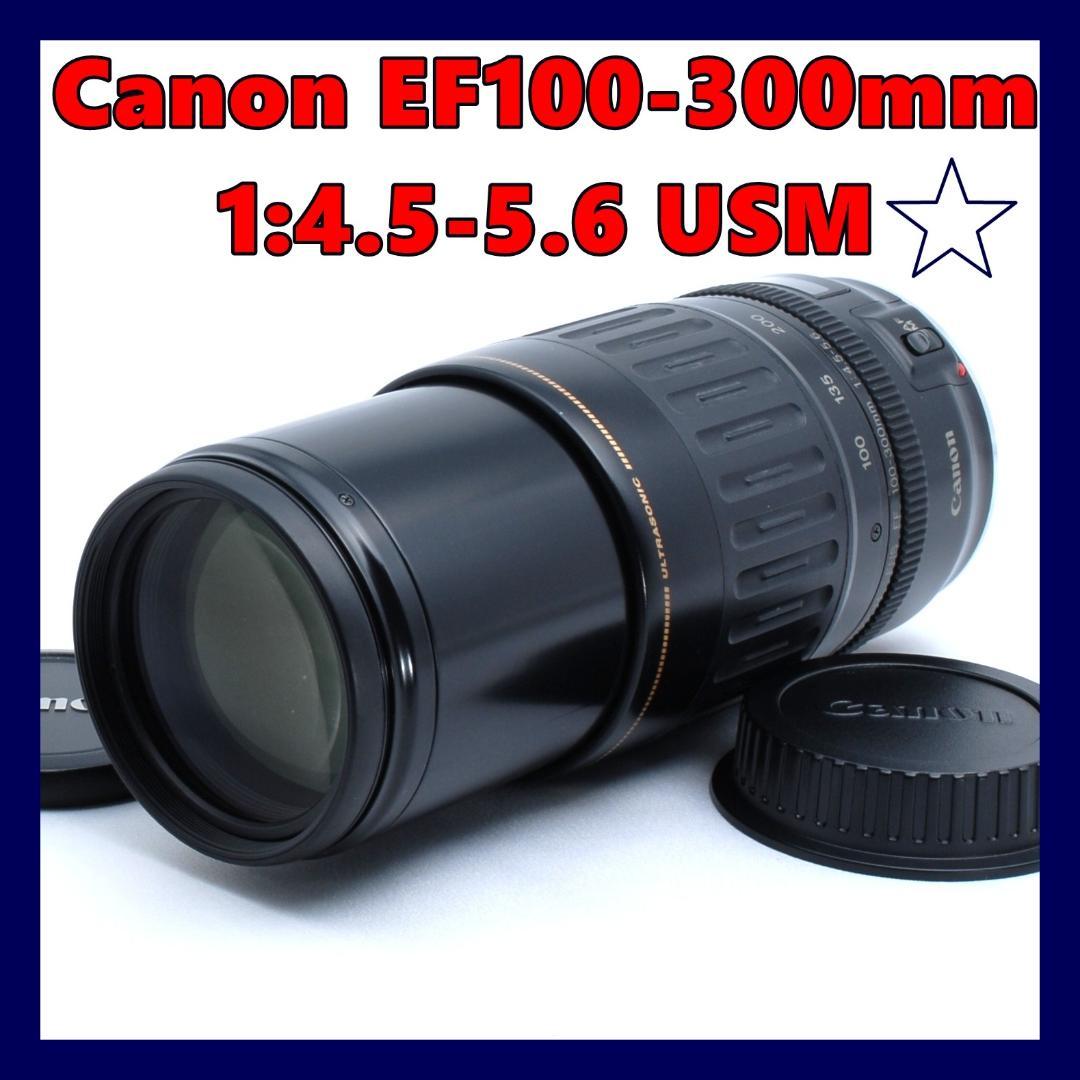 ★Canon EF100-300mm★迫力の300mm★イベント・スポーツ★