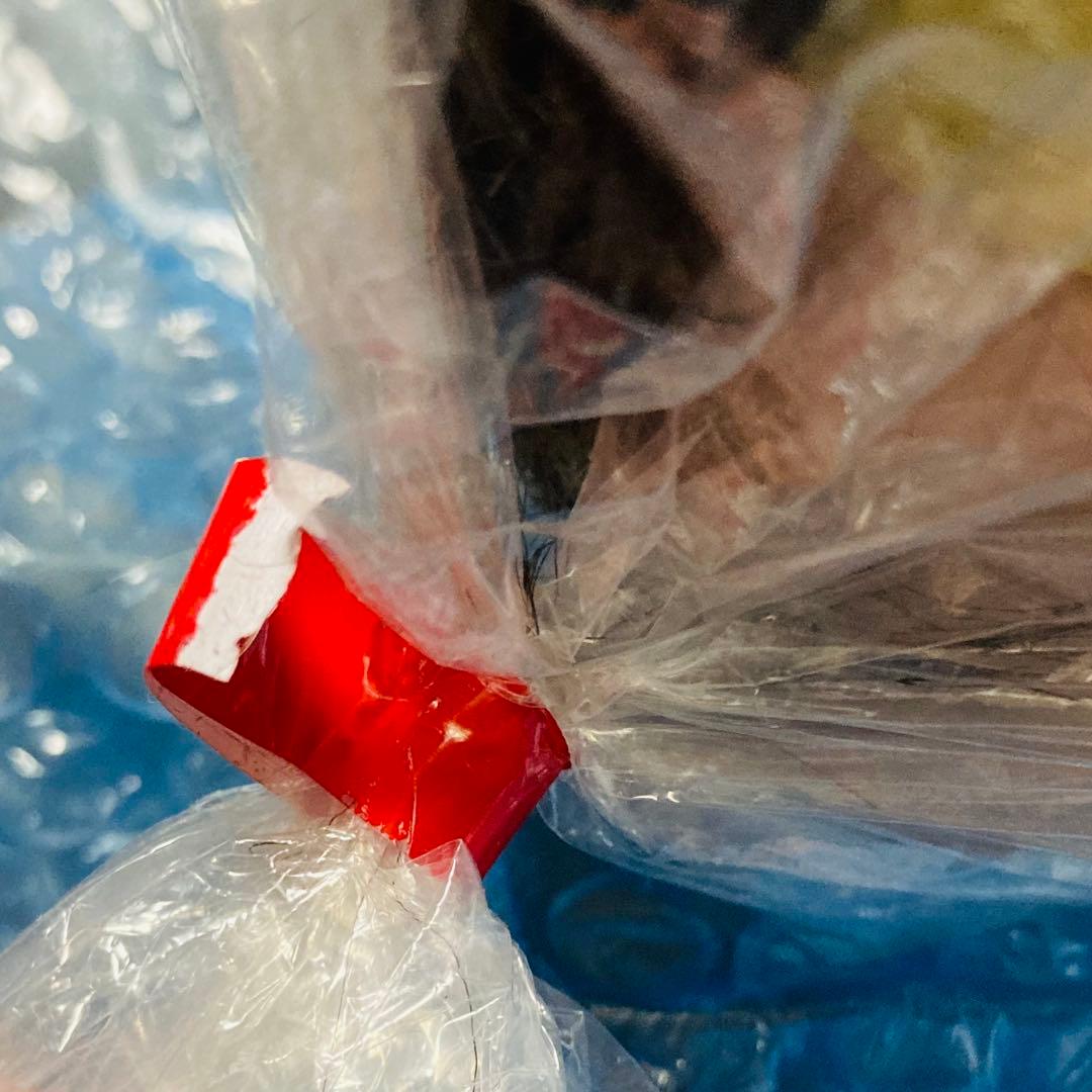 三矢 美容師実技試験用 標準仕様適合 モデルウィッグ 24-12-13 4セット