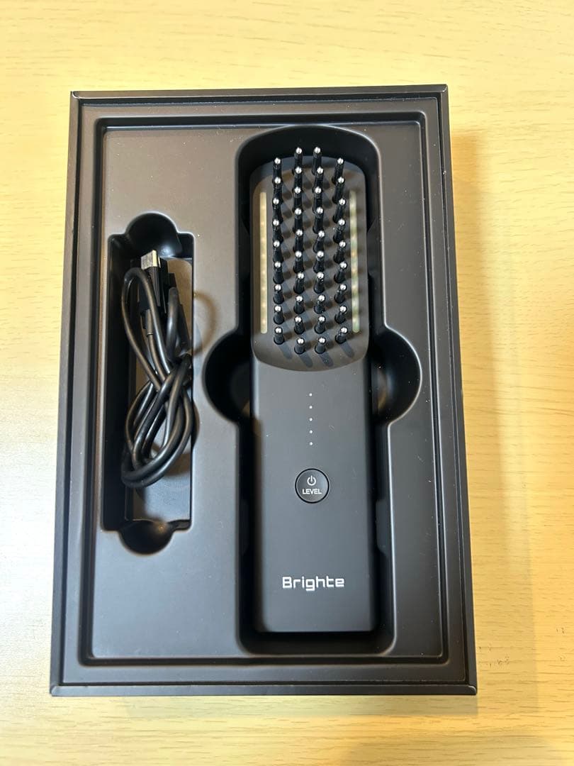 ブライト　エレキブラシ(本体)