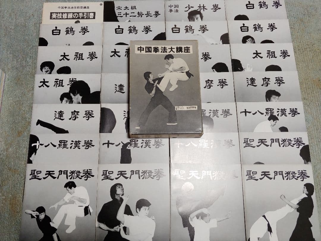 【美品】中国拳法通信教育講座 中国拳法大講座 全28冊セット
